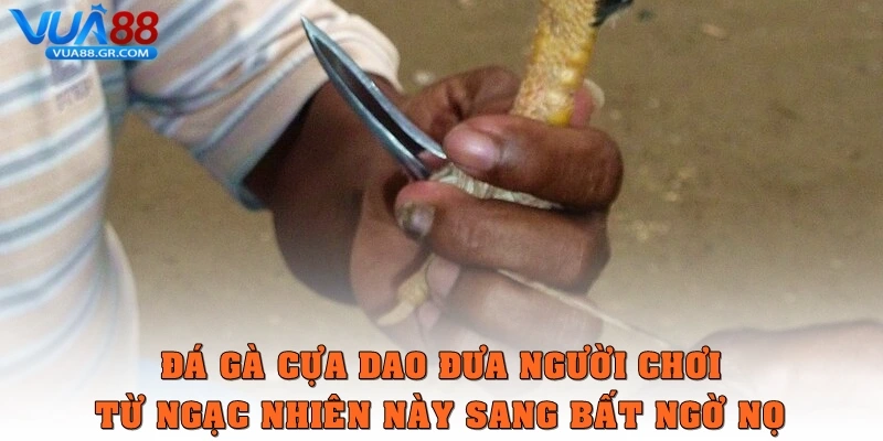 Đá gà cựa dao đưa người chơi đi hết ngạc nhiên này sang bất ngờ nọ